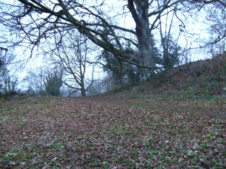 It is very hard to make out the outside embankments of the Hillfort. A lot of the area was landscaped in the 18th centrury for Killerton House.
