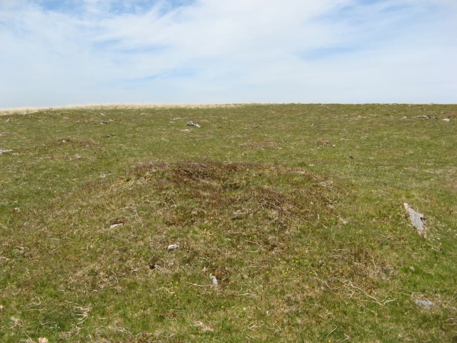 Photograph of Drizzlecombe Reported Cairn 23, taken 15th May 2019. From Prehistoric Dartmoor Walks, site 4253.