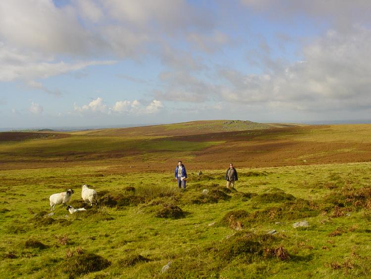 Drizzlecombe Settlement