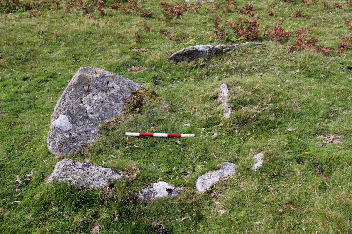 Drizzlecombe W row, Devon | Megalithic Portal