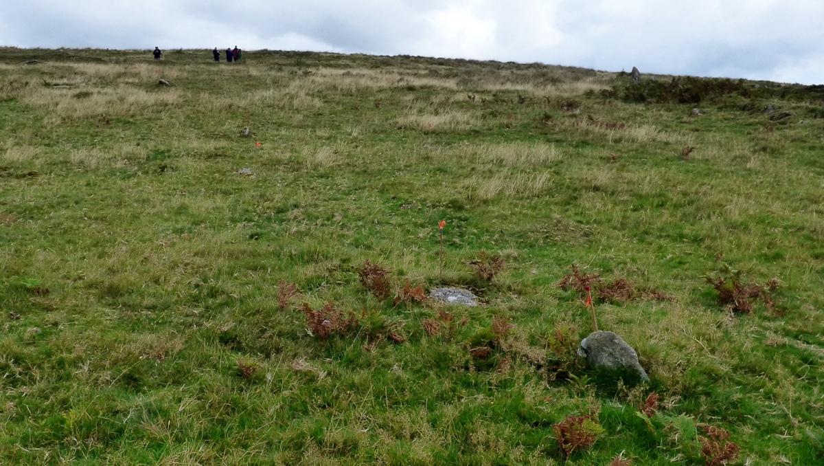 Drizzlecombe W row [Drizzlecombe 4] Stone Row / Alignment : The ...