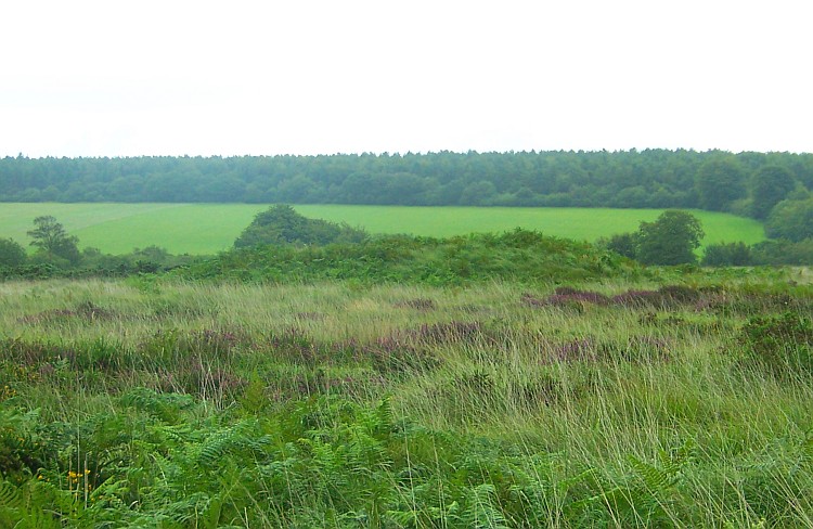 Click for full size image of Farway & Gittisham Hill Cemetery (PID:31970) Farway & Gittisham Hill Cemetery