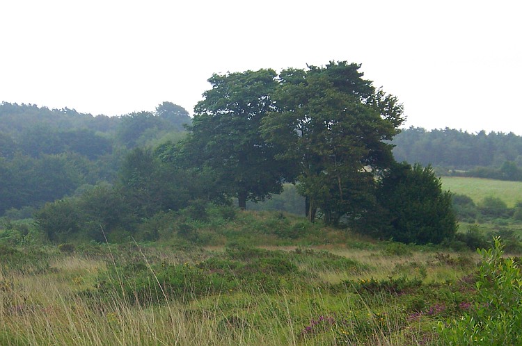 Farway & Gittisham Hill Cemetery (PID:31971) Farway & Gittisham Hill Cemetery