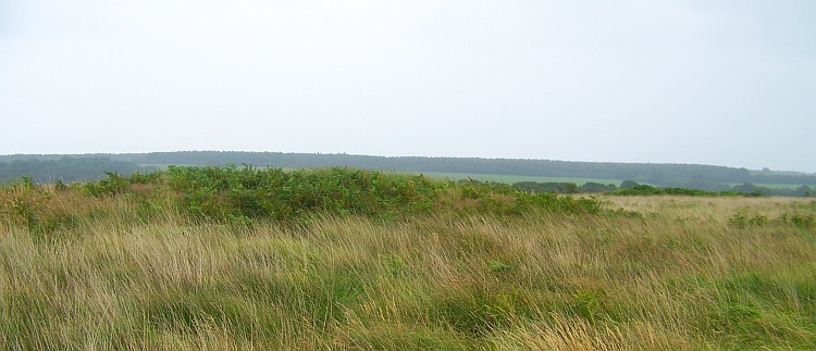 Click for full size image of Farway & Gittisham Hill Cemetery (PID:31972) Farway & Gittisham Hill Cemetery