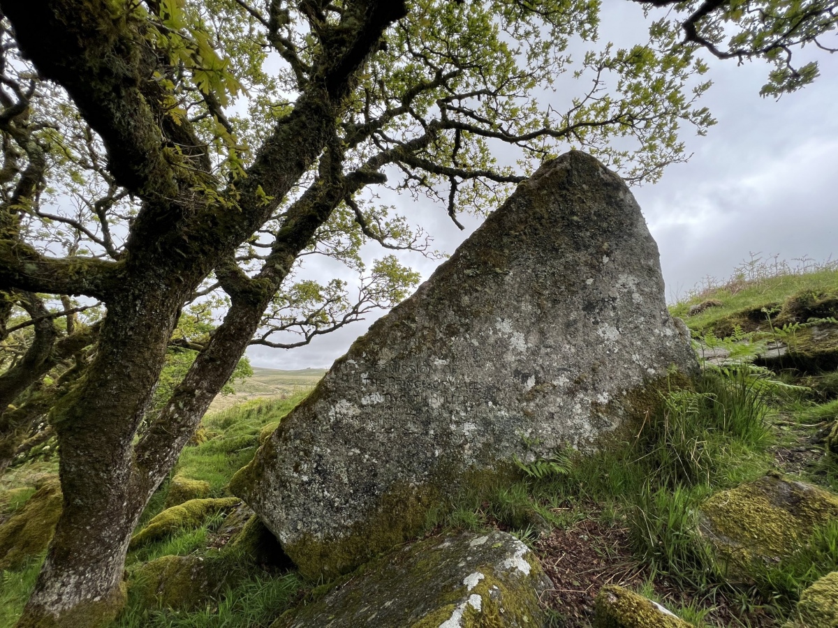 Click for the gallery page to add comments and vote (PID:246973) The Druid’s Stone (Wistman’s Wood)