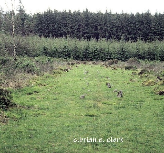 Click for the gallery page to add comments and vote (PID:4251) Fernworthy stone row N