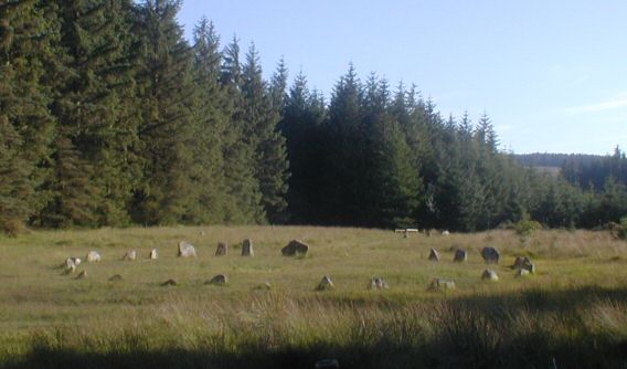 Fernworthy circle