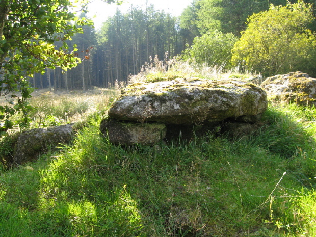 Click for full size image of Lowton Brook West Settlement (PID:52222) Lowton Brook West Settlement