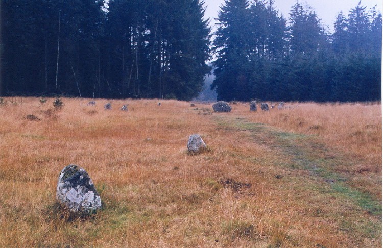 Click for the gallery page to add comments and vote (PID:17373) Fernworthy stone row SW