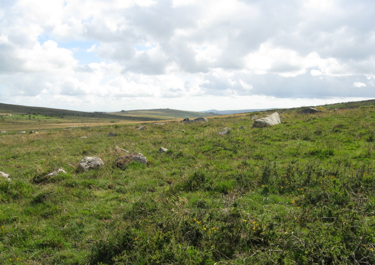 The first line of stones I came to led into the complex of field walls.  Some were rather huge here.  It's hard to say which these are, but may be one of the short ones on right of plan. [To be posted]