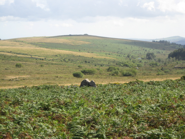 Standing by Hut 1, this large stone caught my eye.  Thinking it must be a hut circle I went to investigate.  That must be the hill with Wittaburrow Cairn in distance, to approx SSW.