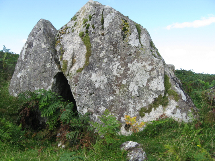 Those two stones are really big, and my gut feeling is that they aren't in their natural position.  There's a proper little cubby-hole underneath, big enough to store something in or to squat under.
Don't  miss a visit to Pil Tor, above, where there are very odd features in the rock, including a long low passage orientated to NE, on the outer face of SE rocks, with a squared-off doorway!  Possibl