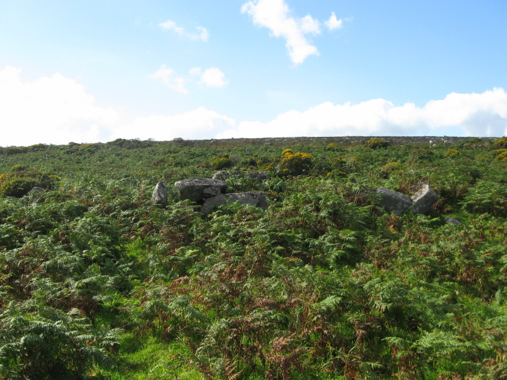 Walking back through the bracken, I got this view of Hut 1 from below.
