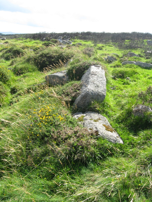 Above the first hut I found was this line of large stones following the contour of the hill, probably the upper line of walls on the plan, which were added to the reaves running up over the hill, to make rectangular fields.  You'll see there's a bank of earth here, too.