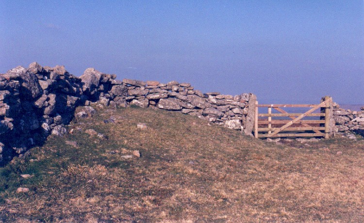 Two Barrows (Hamel Down)