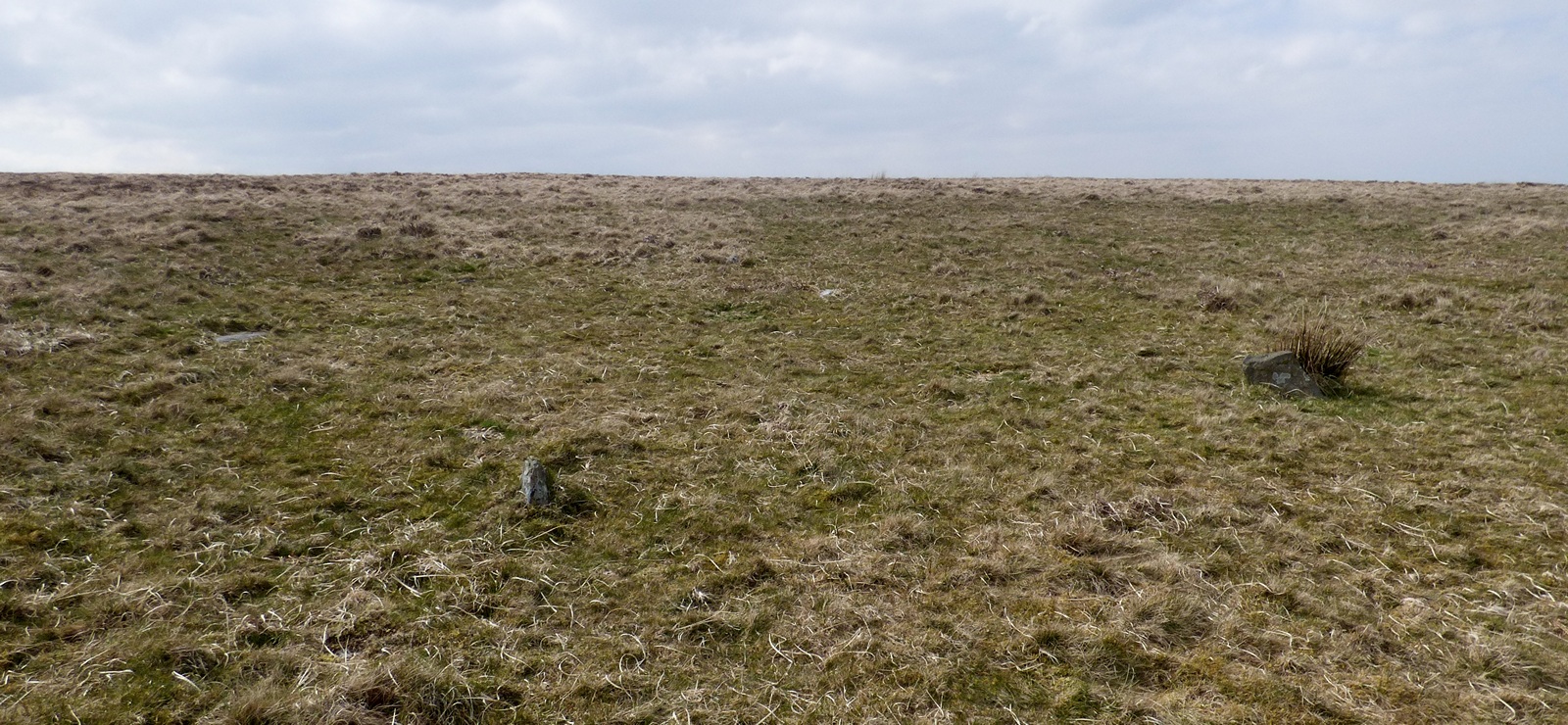 View from the east of the western part of the stone row.