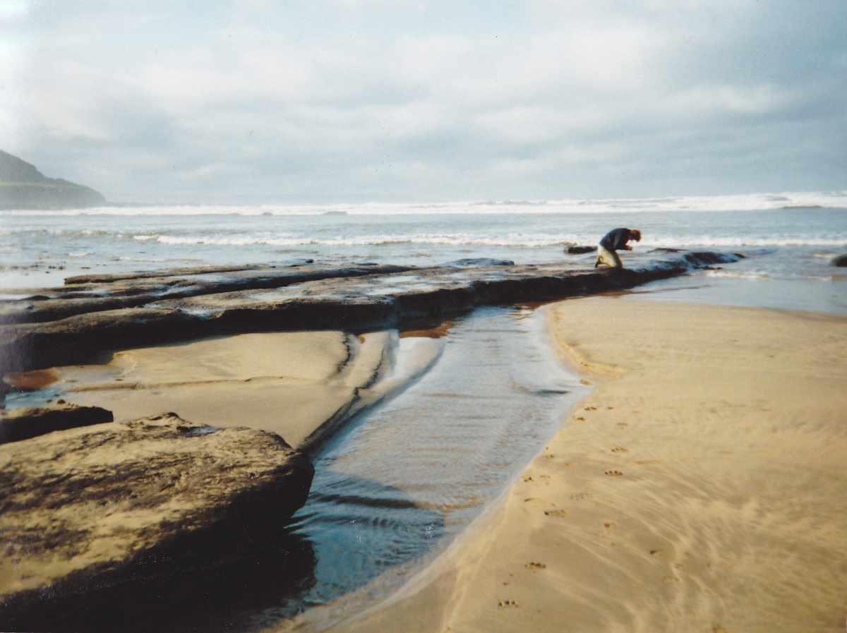 Click for full size image of Shell Middens at Westward Ho! (PID:221963) Shell Middens at Westward Ho!