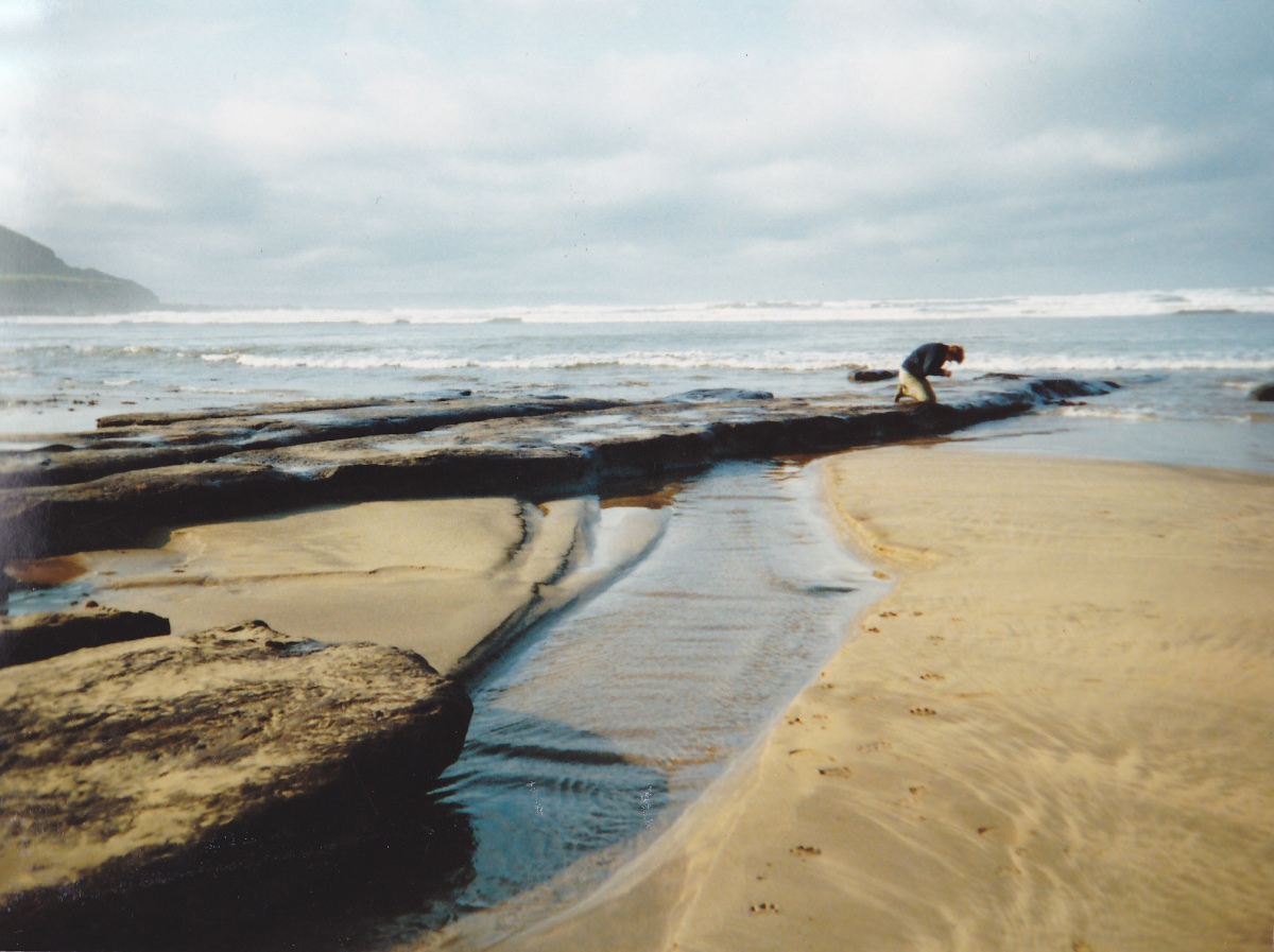 Shell Middens at Westward Ho!