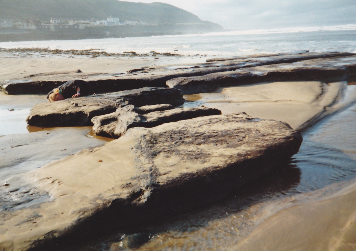 Shell Middens at Westward Ho!