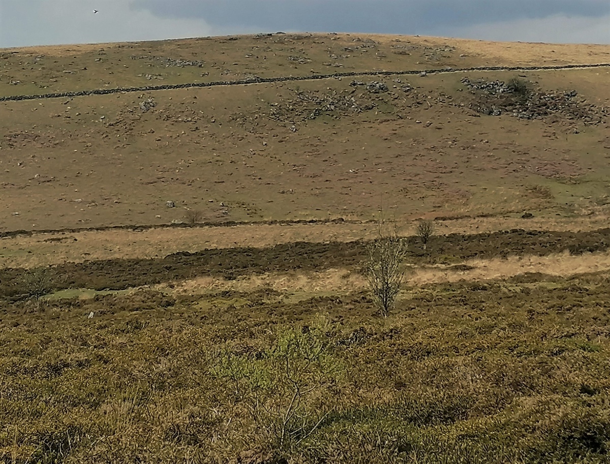 Click for full size image of Stannon Newtake West Cairn and row (PID:241085) Stannon Newtake West Cairn and row