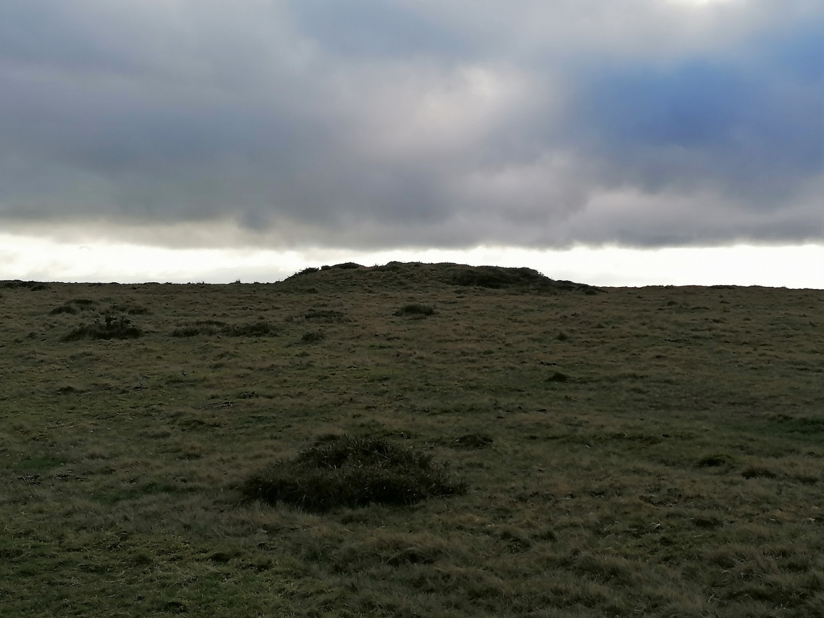 Click for full size image of Blackaton Down north (Hamel Down) (PID:252618) Blackaton Down north (Hamel Down)