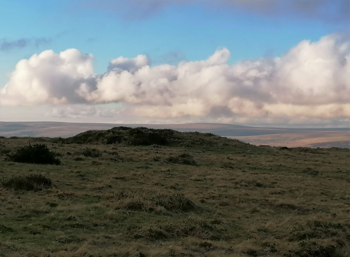 Click for full size image of Blackaton Down north (Hamel Down) (PID:252619) Blackaton Down north (Hamel Down)