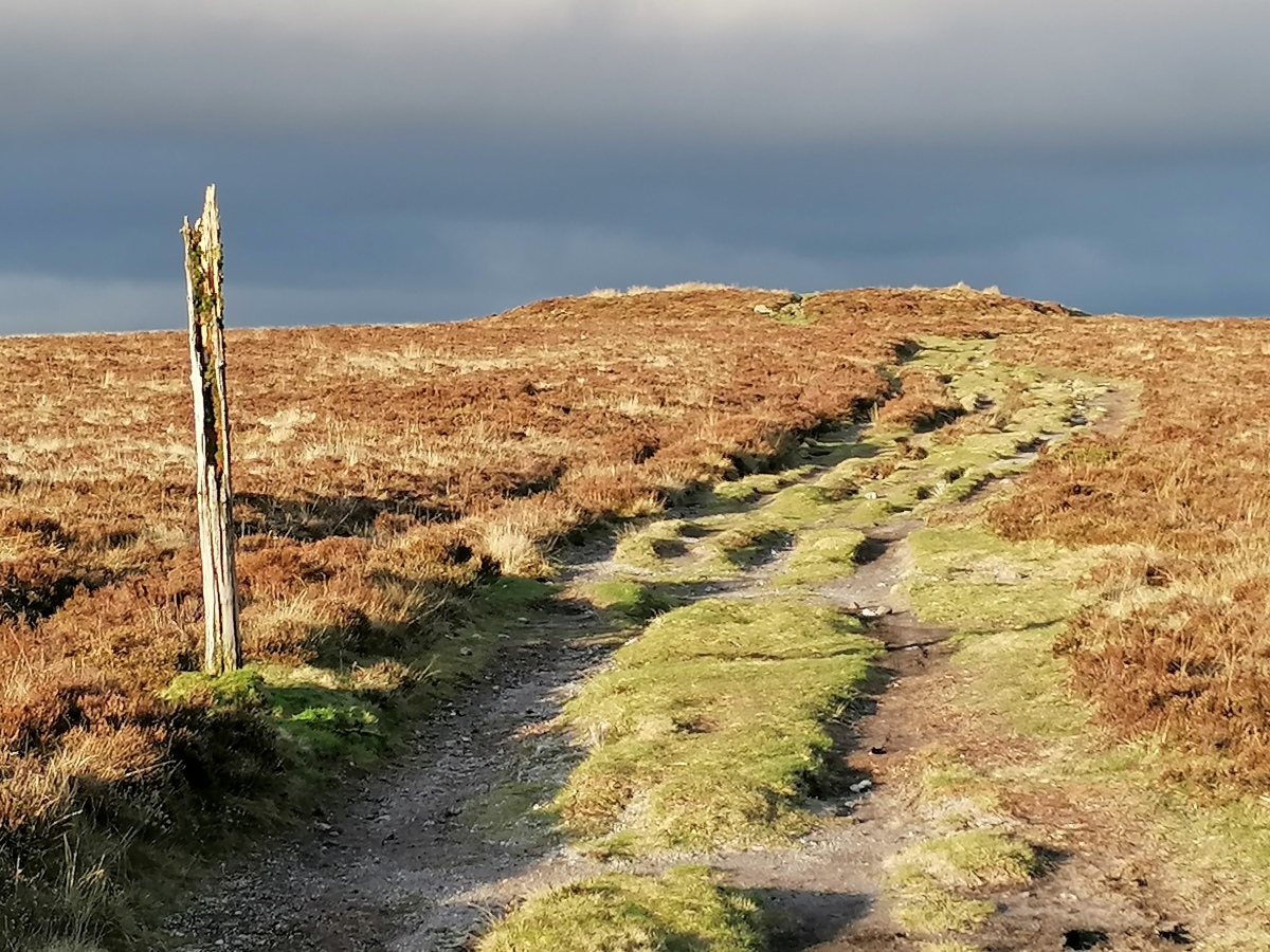 Broad Barrow (Hamel Down)