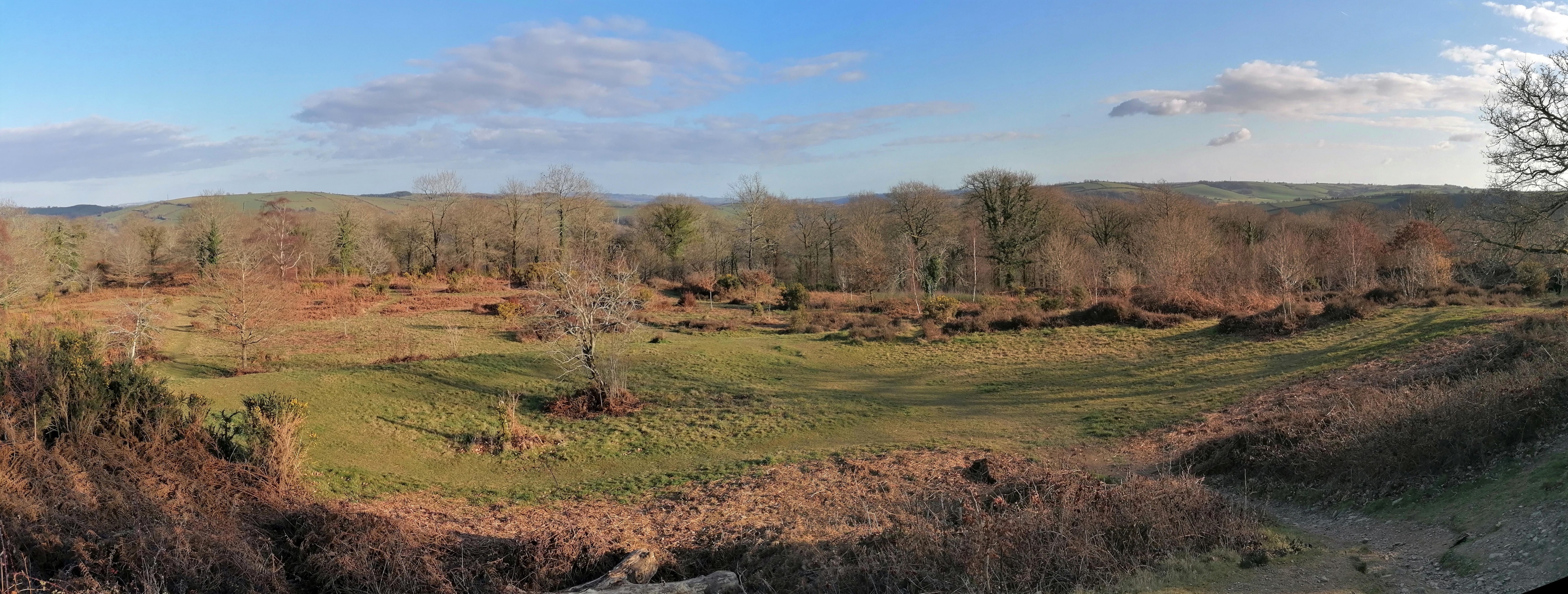 Click for full size image of Hembury Castle (PID:255022) Hembury Castle