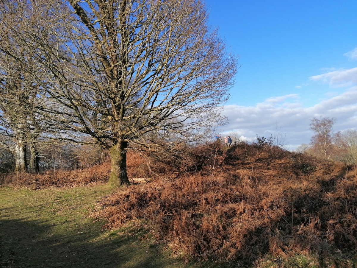 The Norman Motte within the iron age enclosure