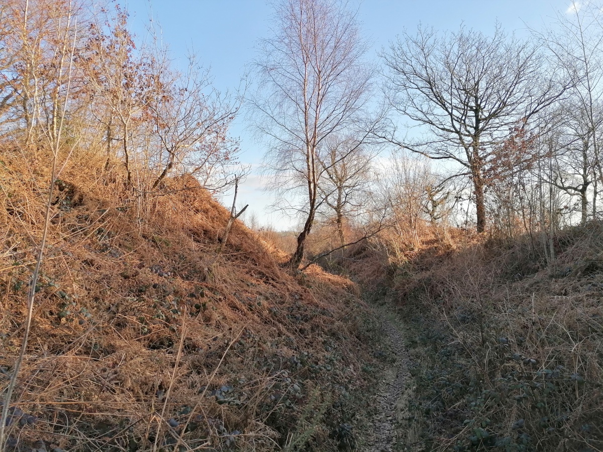 The southern defences