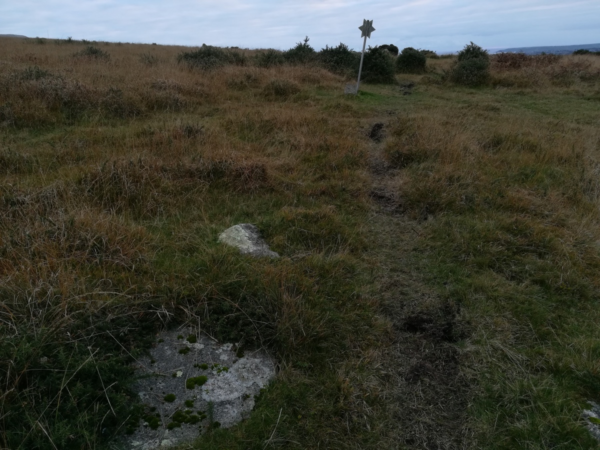 Click for full size image of Shaugh Moor row (PID:281472) Shaugh Moor row