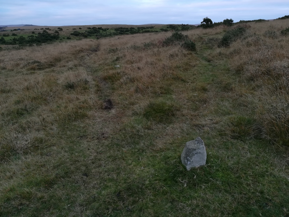 Click for full size image of Shaugh Moor row (PID:281473) Shaugh Moor row