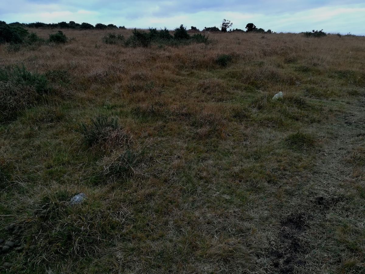 Click for full size image of Shaugh Moor row (PID:281474) Shaugh Moor row