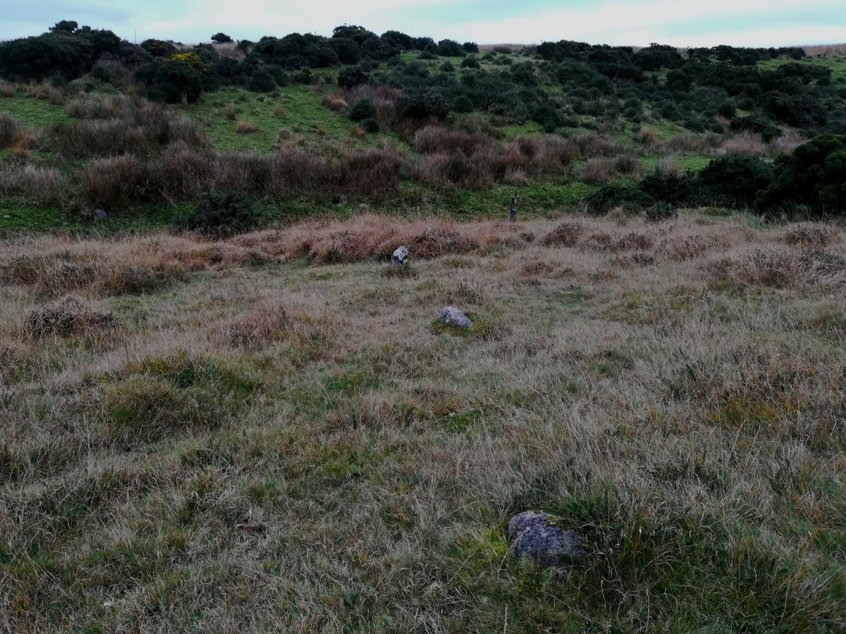 Click for full size image of Shaugh Moor row (PID:281475) Shaugh Moor row