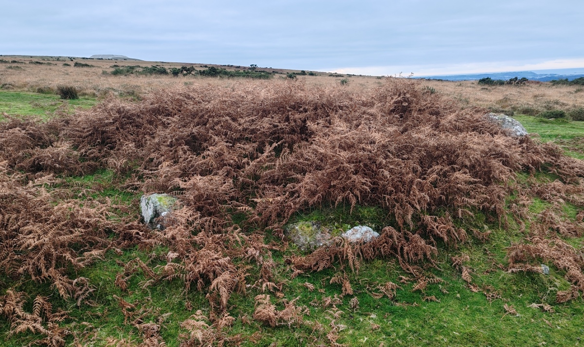 Click for full size image of Shaugh Moor Cairns (PID:281481) Shaugh Moor Cairns
