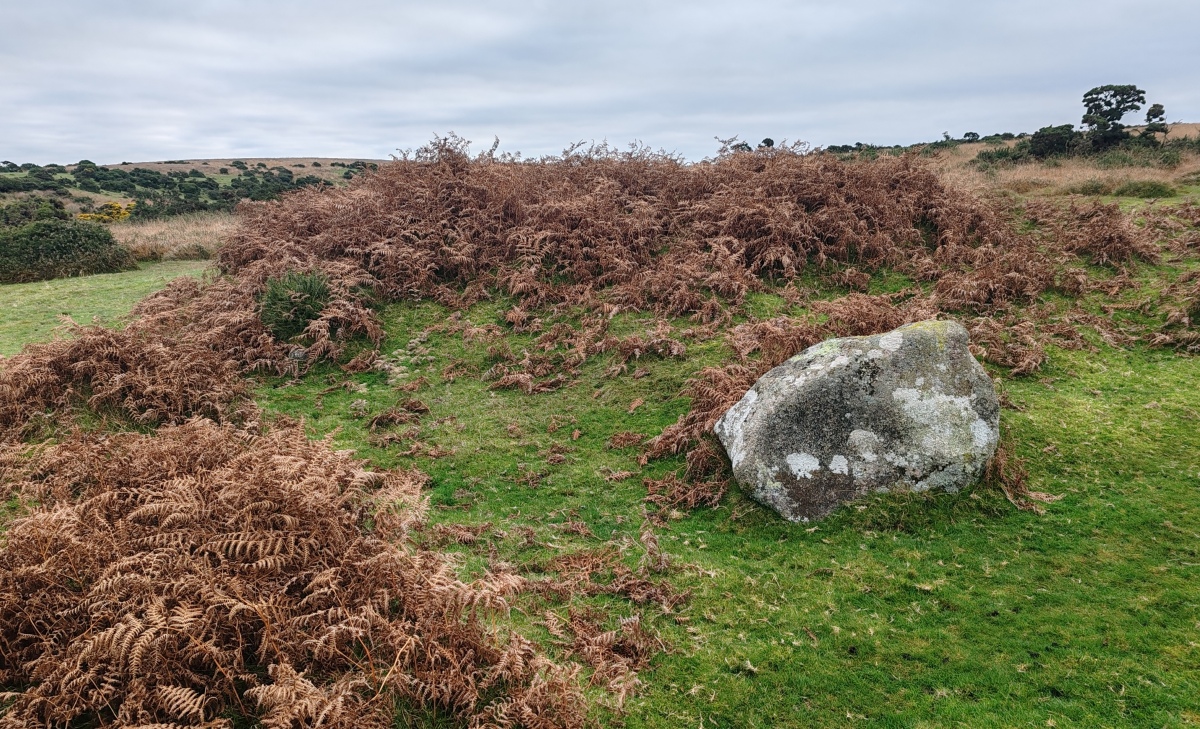 Click for full size image of Shaugh Moor Cairns (PID:281482) Shaugh Moor Cairns