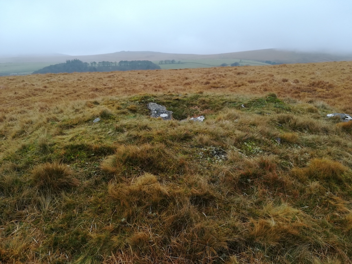 Click for full size image of Winter Tor (PID:283688) Winter Tor