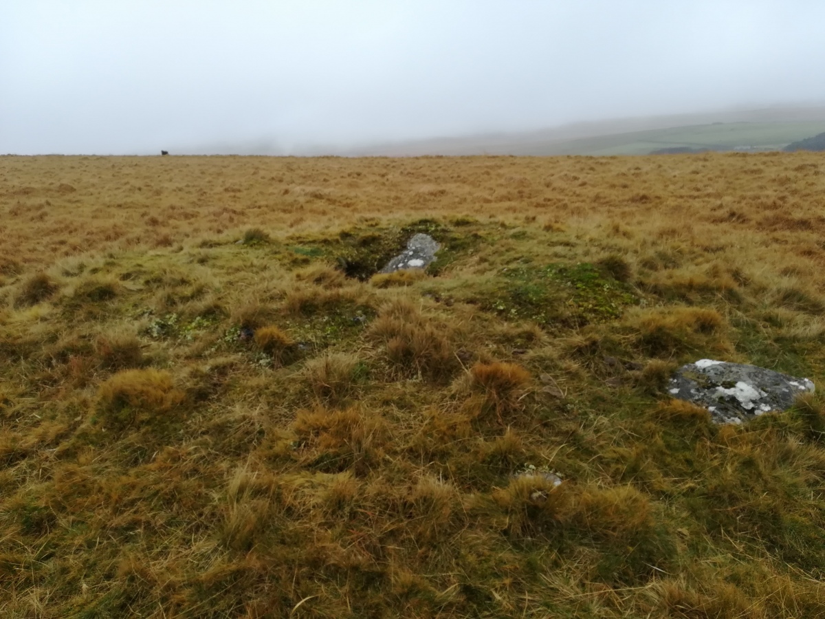 Click for full size image of Winter Tor (PID:283690) Winter Tor