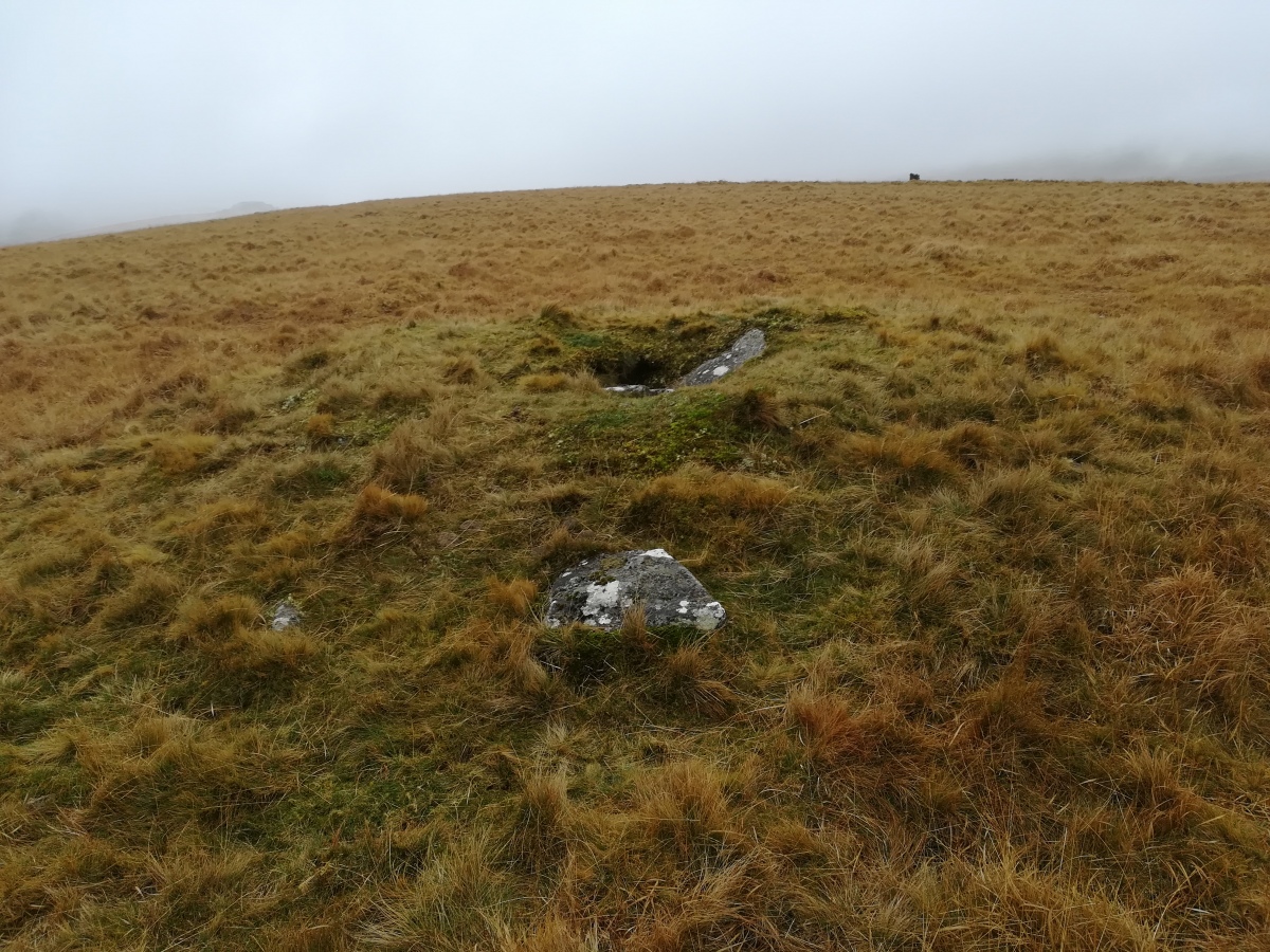 Click for full size image of Winter Tor (PID:283691) Winter Tor
