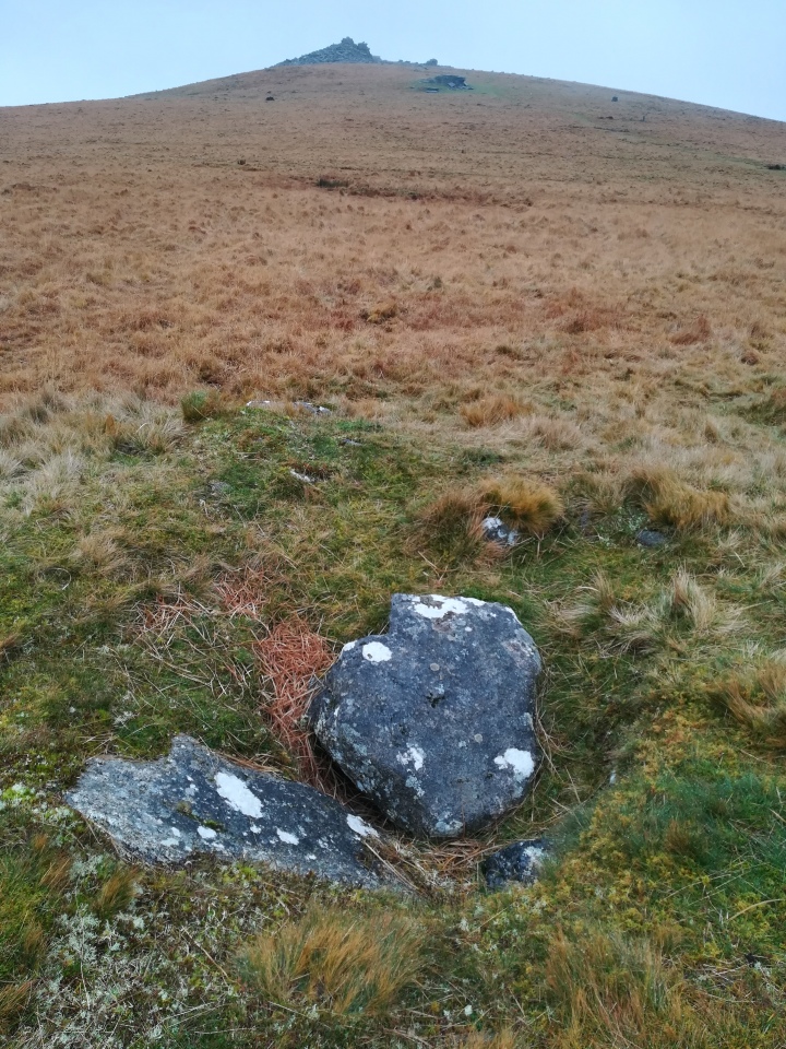 Click for full size image of Winter Tor (PID:283689) Winter Tor