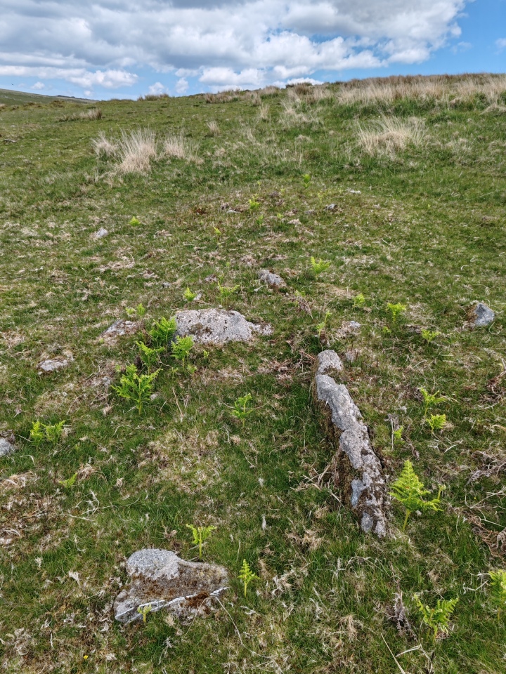 Click for full size image of Giant's Hill West (PID:290491) Giant's Hill West