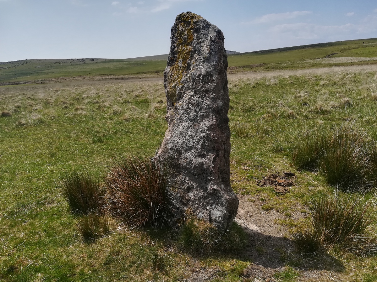 Click for full size image of Drizzlecombe menhir 3 (PID:290552) Drizzlecombe menhir 3