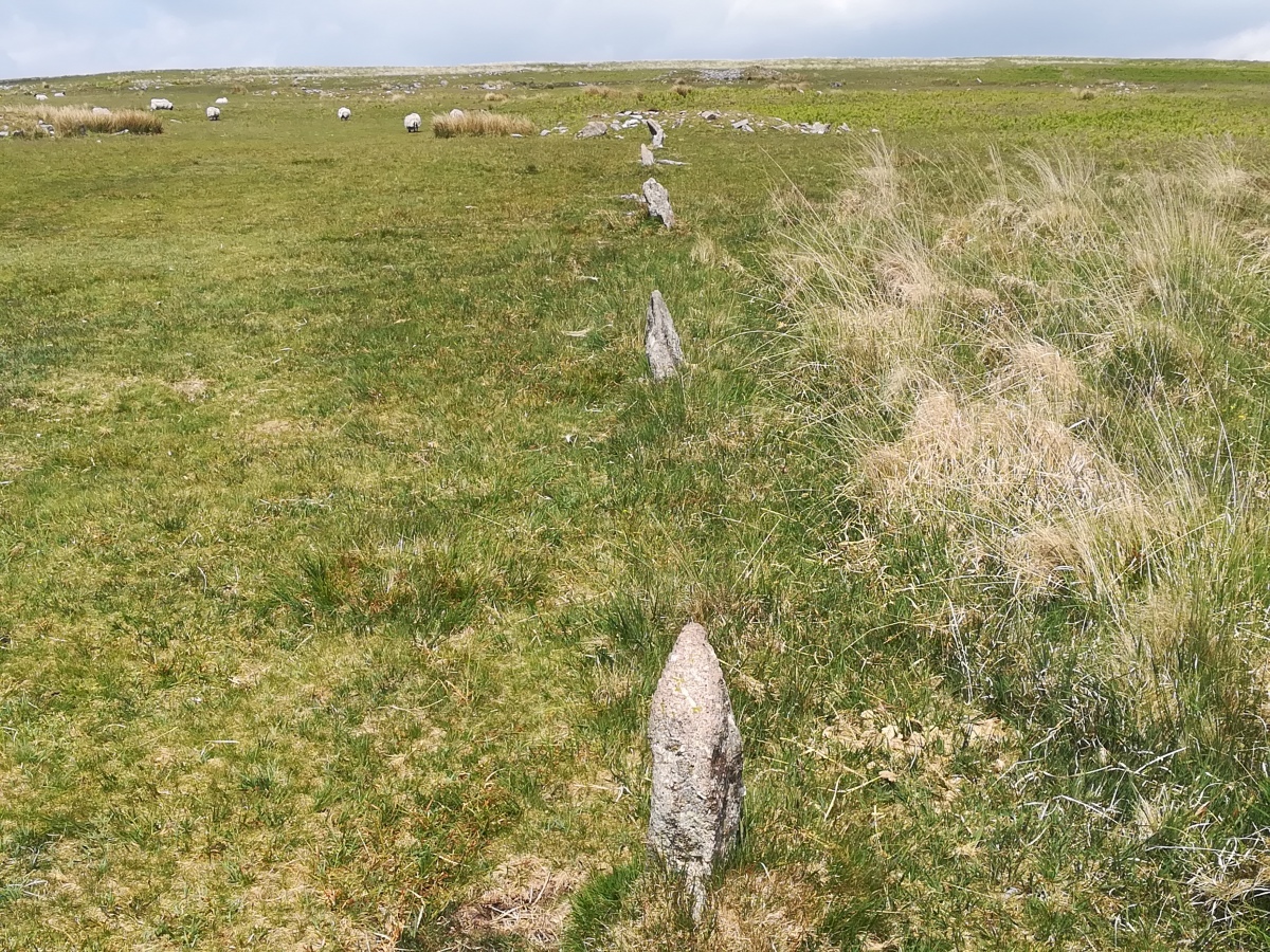 Drizzlecombe row 2