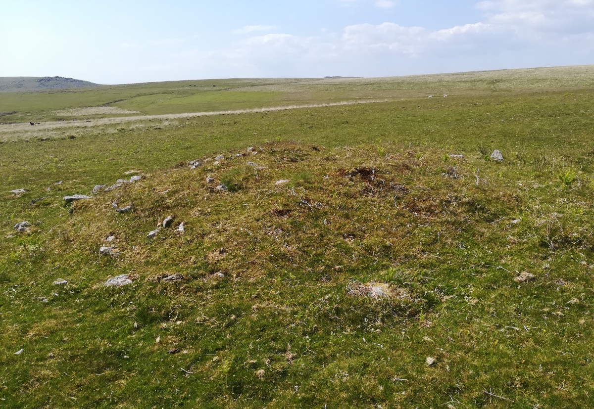 Click for full size image of Drizzlecombe cairn 4 (PID:290553) Drizzlecombe cairn 4