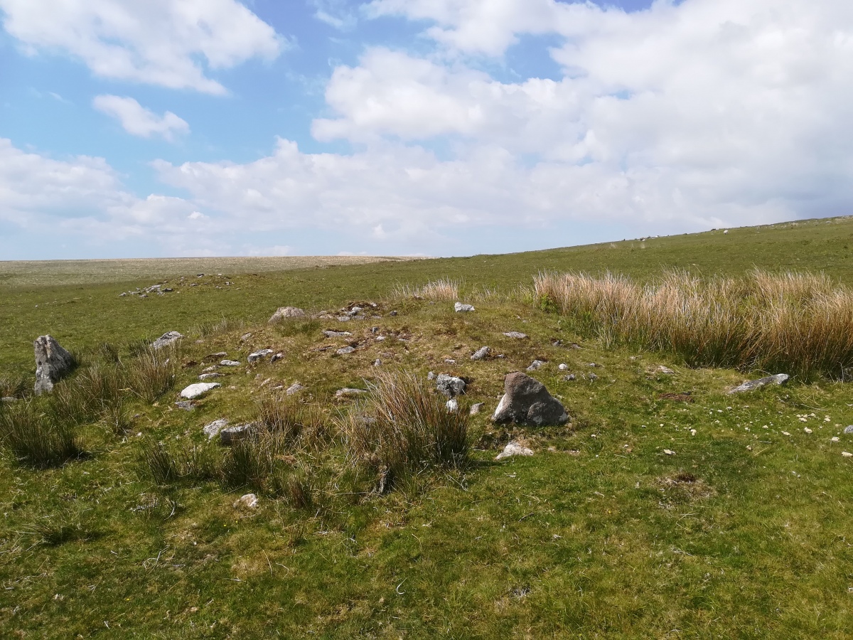 Click for full size image of Drizzlecombe cairn 3 (PID:290555) Drizzlecombe cairn 3