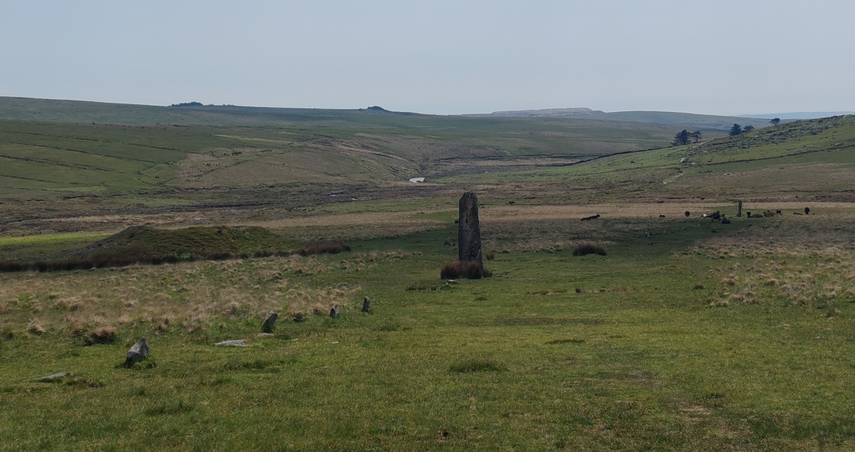 Drizzlecombe row 2
