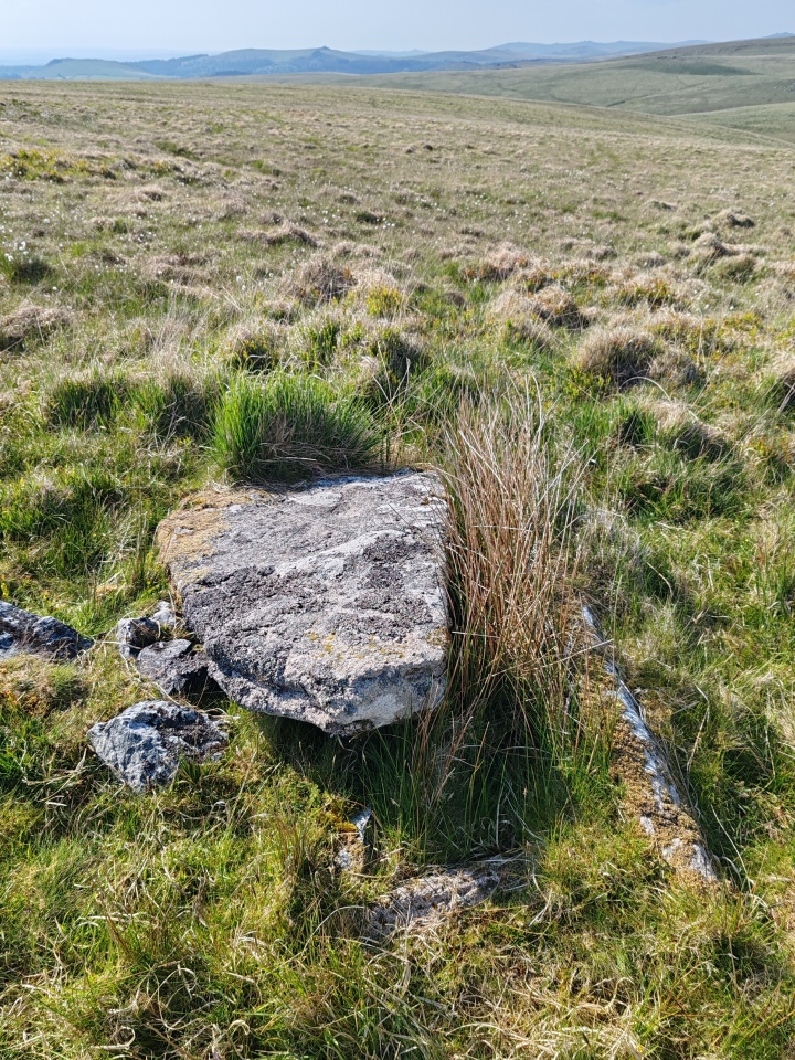 Click for full size image of Langcombe South (PID:290787) Langcombe South