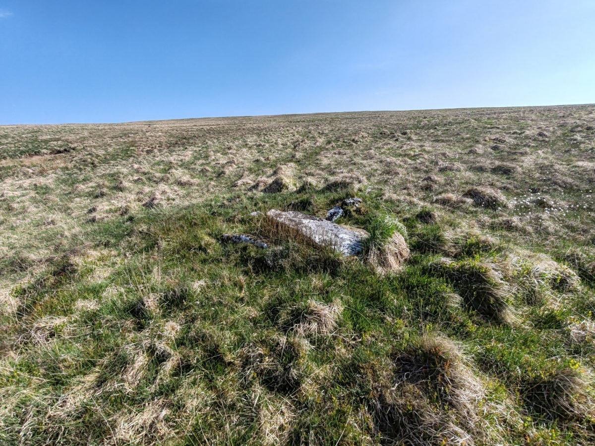 Click for full size image of Langcombe South (PID:290785) Langcombe South