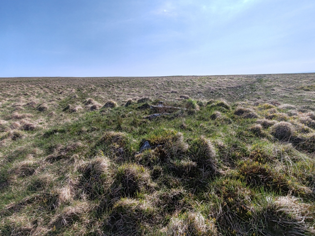 Click for full size image of Langcombe South (PID:290786) Langcombe South