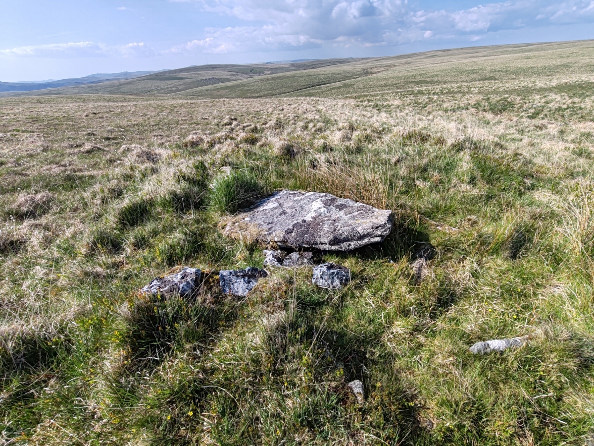 Click for full size image of Langcombe South (PID:290788) Langcombe South